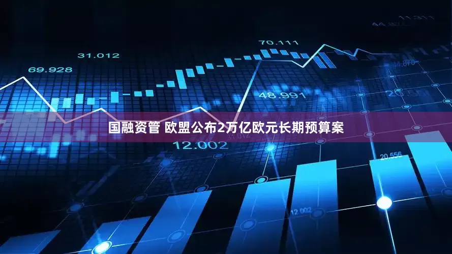 国融资管 欧盟公布2万亿欧元长期预算案