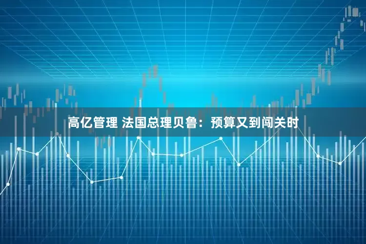 高亿管理 法国总理贝鲁：预算又到闯关时